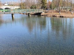 -尚贤河湿地