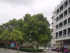 -美兰湖景区