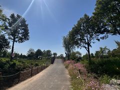-嬉乐湾休闲旅游区