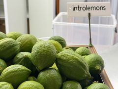 -introlemons(北京西单更新场店)