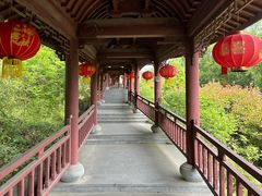 -海宁市观音寺