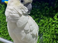 -大连圣亚海洋世界