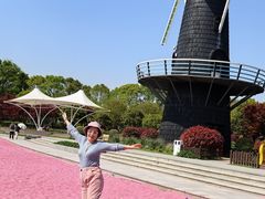 -上海鲜花港