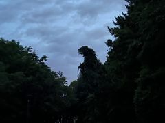 -惠山国家森林公园