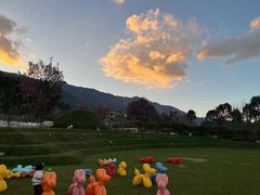 -云禾壹海景庄园餐厅