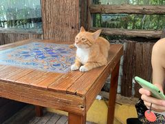 -萨芭蒂高空花园餐酒吧