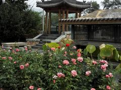 -那家小馆•北京菜•烤鸭(香山店)