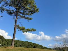 -美兰湖景区