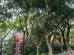 -深圳湾公园(南山区)