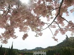 -石岛赤山风景区