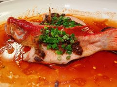 -润苑·悦椿轩(徐汇万科中心一期店)