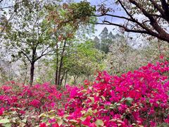 -南宁市凤岭儿童公园