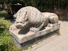 -西安大兴善寺