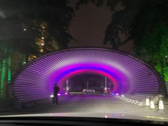 -枫花园汽车电影院(朝阳公园店)