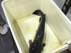 -九寨沟石锅鱼(沣峪口二十年店)