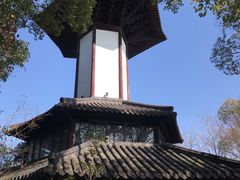 -上海佘山国家森林公园天马山园