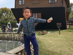 -金山农民画村-枫泾波兰倒置屋