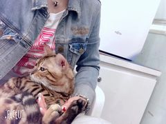 -申普宠物医院·眼科·心内科·影像科(普陀分院)