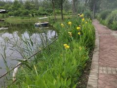 -合肥滨湖国家森林公园