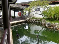 -无锡蠡湖国家湿地公园-蠡园