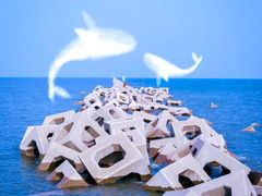 -东疆建设开发纪念公园