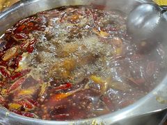 -金鼎雪山牦牛杂火锅(理县总店)