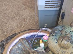 -南山民肴·乡土徽菜(豪辰俪景店)