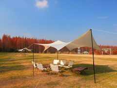 -黄海国家森林公园