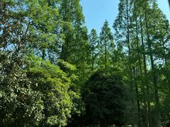 -上海怡沁园度假酒店