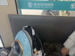 -瑞派伍一宠物医院·眼科·骨科·猫科转诊中心(马王堆院)