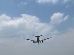 -空港花田景区