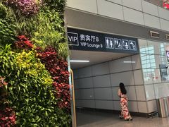 -郑州新郑国际机场T2航站楼-贵宾厅B区