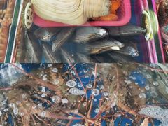 -四川小胡子海鲜(丁村万人海鲜广场店)