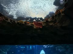 -南昌融创海世界