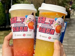 -萃茶师(琅西店)