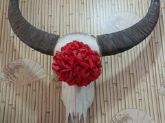 -韦记牛杂汤(清晖园店)
