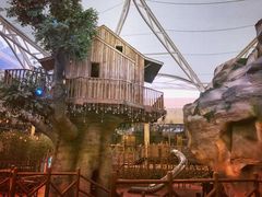 -杭州开元森泊度假乐园