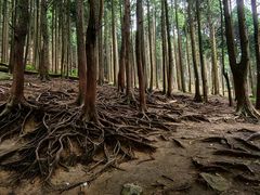 -含鄱口