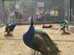 -西安秦岭野生动物园