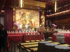-新加坡佛牙寺龙华院