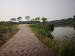-东郊湿地公园