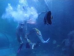 -左海海底世界