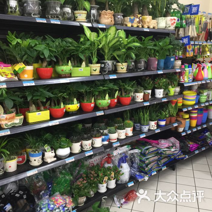 沃尔玛(沙井新沙路分店)图片 - 第7张