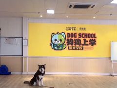 -御宝贝24h宠物医院·转诊中心·CT核磁血透中心(厦门总院)