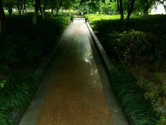 -蠡湖大桥公园