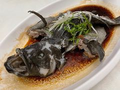 -五谷芳乳鸽王(海景店)