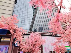 -首开·龙湖成都西宸天街