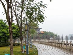 -顺峰山公园