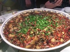来凤鱼-新概念来凤鱼(璧山店)