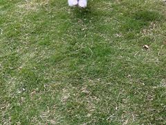 -美联众合爱康动物医院•复杂内科•肿瘤科•牙科•腔镜诊疗中心